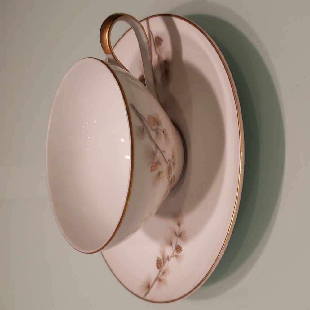 ACI Fine China Fuji Pine Teacup and  Saucer Set